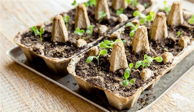 أفكار إبداعية لإعادة تدوير علب البيض.. منها تحويلها للوحة فنية