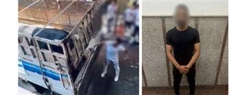 عقب تداول الفيديو.. ضبط جزار ذبح ماشية بطريقة مخالفة في السيدة زينب
