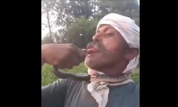 مغامرة غير محسوبة.. قبلة مع أفعى تضع هندي على بٌعد خطوة من الموت (فيديو)