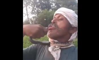 مغامرة غير محسوبة.. قبلة مع أفعى تضع هندي على بٌعد خطوة من الموت (فيديو)