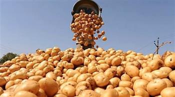 عضو «رجال الأعمال المصريين»: صادرات الغذاء 6.1 مليار دولار وقفزة 925% في البطاطس