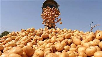 عضو «رجال الأعمال المصريين»: صادرات الغذاء 6.1 مليار دولار وقفزة 925% في البطاطس