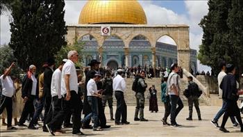 مئات المستوطنين يقتحمون باحات «الأقصى» بحماية شرطة الاحتلال 