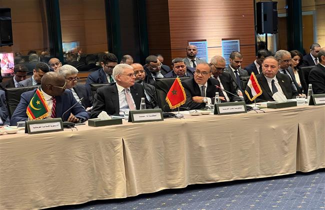 وزير الخارجية يشارك في الاجتماع الوزاري العربي في اسطنبول 