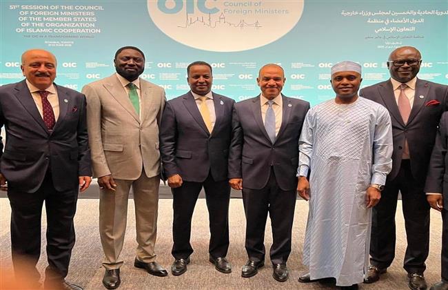 وزير الخارجية يبحث مع نظرائه من «تشاد وجامبيا والجابون والصومال وتونس وجيبوتي» فرص التعاون المشترك