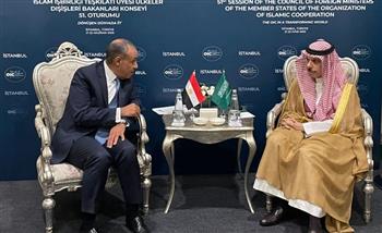 وزير الخارجية يبحث مع نظيره السعودي تداعيات التصعيد بين إسرائيل وإيران على المنطقة   
