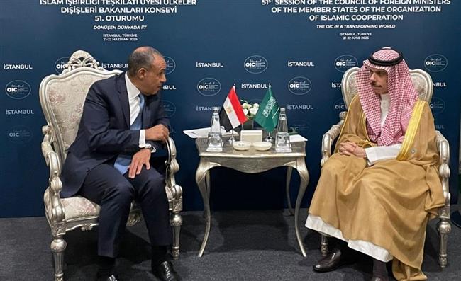 وزير الخارجية يبحث مع نظيره السعودي تداعيات التصعيد بين إسرائيل وإيران على المنطقة   