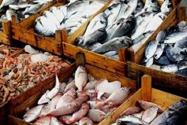أسعار الأسماك اليوم الاثنين 23 يونيو 2025 في سوق العبور 