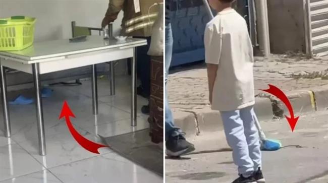 شاهد.. الثعابين تغزو إسطنبول والسكان يتعاملون معها بالأسلحة
