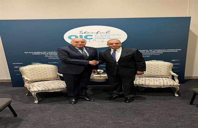 وزير الخارجية والهجرة يلتقي نظيره الجزائري بإسطنبول لبحث التطورات المتلاحقة على الساحة الإقليمية