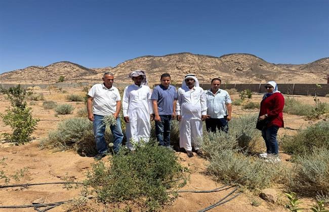 "بحوث الصحراء" يطلق المرحلة الثانية من مشروع التنمية الزراعية بجنوب سيناء