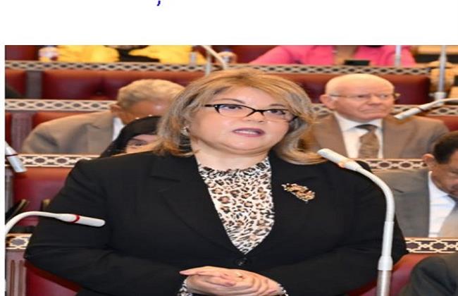 فيبي فوزي: التنمر والتحرش ظواهر خطيرة تهدد تماسك المجتمع 