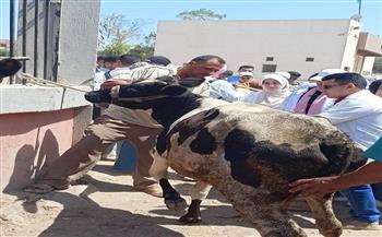 "الخدمات البيطرية" تطلق قوافل علاجية مجانية لدعم صغار المربين في 5 محافظات