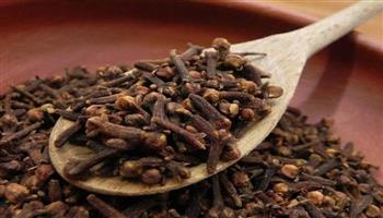 القرنفل يساعد في مواجهة الربو