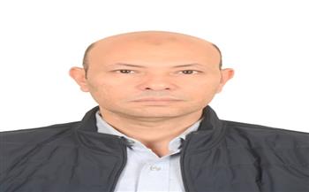 في أصول الدولة المصرية