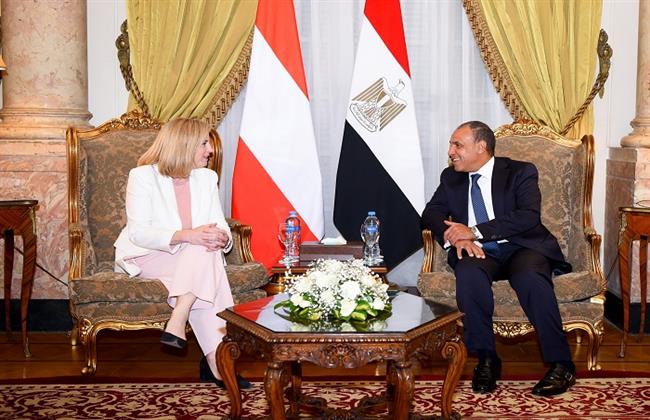 وزير الخارجية والهجرة يجرى مشاورات سياسية مع نظيرته النمساوية