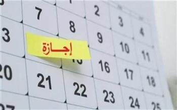 للقطاعين الخاص والحكومي.. موعد إجازة ثورة 30 يونيو 2025
