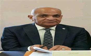 رئيس حزب الريادة: ثورة 30 يونيو أسقطت حكم المرشد وأنقذت مصر من مصير مجهول