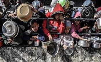 متحدث الصحة بغزة: استشهاد 60 فلسطينيا قرب مراكز المساعدات في غزة خلال أسبوع