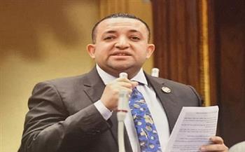 برلماني يؤكد على ضرورة وجود هيئة لتنظيم العقار في مصر