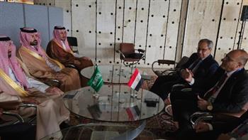 وزير العمل يبحث مع نظيره السعودي تفعيل التعاون في المجالات ذات الاهتمام المشترك