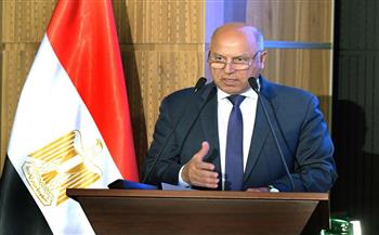 كامل الوزير: نعاني من نقص الطاقة في مصر.. ونحتاج لمصانع خلايا شمسية| فيديو