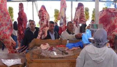 «سودانى» طازجة و«خراف» حية.. وعقوبات مشددة على المخالفين..  لحوم العيد «متوفرة» وبأسعار مخفضة