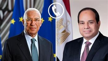 الرئيس السيسي يؤكد على ضرورة تضافر الجهود الدولية لوقف الحرب فى غزة فورًا