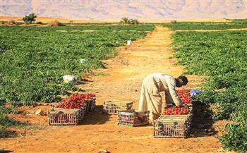 زراعة الأقصر تكشف عن حصاد جهود المديرية لشهر مايو الماضي