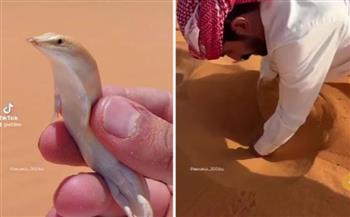 أغرب ما ستراه.. سمكة تعوم رمال الصحراء (فيديو)