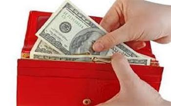 بحسب علم الطاقة.. ألوان محفظتك تؤثر على تدفق النقود بداخلها