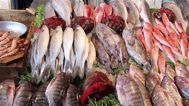أسعار الأسماك اليوم السبت 7-6-2025 في سوق العبور