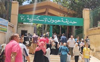 حديقة حيوان الإسكندرية تستقبل 3245 زائرا خلال أول أيام عيد الأضحى 