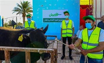 في ثاني أيام العيد.. "تضامن قنا" تواصل ذبح الأضاحي وتوزيعها على الأولى بالرعاية