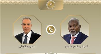 وزير الخارجية يؤكد دعم مصر لنيجيريا في مكافحة الإرهاب 
