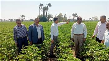 في ثاني أيام العيد.. "الزراعة" تواصل المتابعة الميدانية والمرور على أنشطة القطاع الزراعي