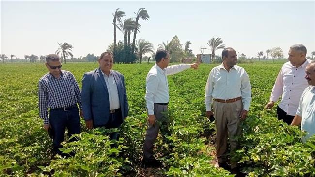 في ثاني أيام العيد.. "الزراعة" تواصل المتابعة الميدانية والمرور على أنشطة القطاع الزراعي