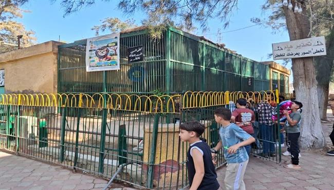 "الزراعة": حدائق الحيوان الإقليمية والأسماك بالزمالك استقبلت أكثر من 38 ألف زائر خلال أول يومين لعيد الأضحى