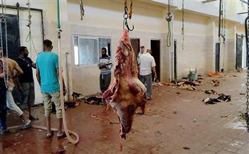 مدير "الطب البيطري" بالوادي الجديد: ذبح 104 رؤوس حيوانات في ثالث أيام العيد