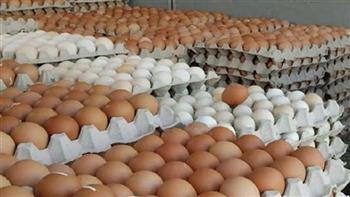 أسعار البيض اليوم الأحد 8-6-2025 في الأسواق
