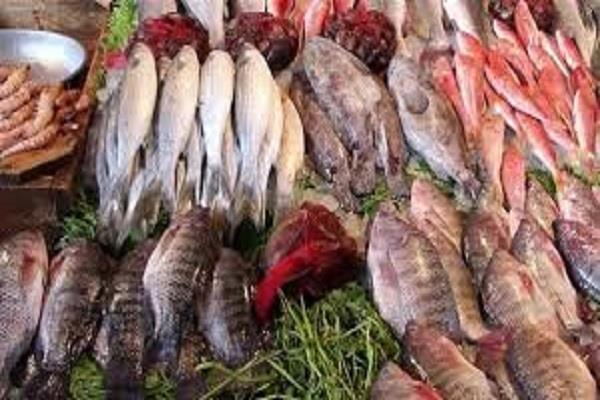 سعر الأسماك اليوم السبت 12- 7- 2025 بسوق العبور