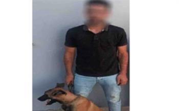  عقب الفيديو.. ضبط شخص لقيامه بدفع كلب تجاه آخر لزيادة المشاهدات في الدقهلية