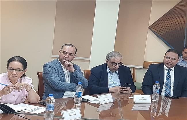 «صون التراث المصري ومخاطر الأمن السيبراني»  على مائدة الأعلى للثقافة