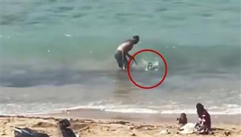 فيديو أشعل الغضب في لبنان.. رجل يضرب كلبًا ويحاول إغراقه في البحر