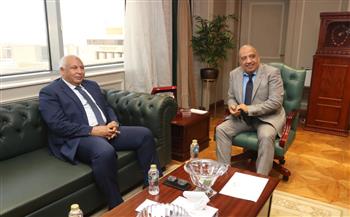 وزير الكهرباء: الوادي الجديد نموذج يحتذى في تشجيع الاعتماد على الطاقة المتجددة