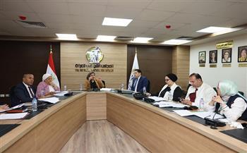 لجنة المحافظات بالقومي للمرأة تعقد اجتماعها الدوري وتناقش خطة عملها خلال الفترة المقبلة