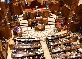 انتخابات مجلس الشيوخ 2025.. موعد وإجراءات تصويت المصريين بالخارج (إنفوجراف)  