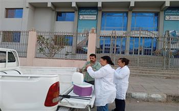 محافظة الجيزة: تجهيز "شلتر إمبابة" لإطلاق برنامج تعقيم الكلاب الضالة حفاظًا على سلامة المواطنين