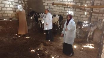"الزراعة": تحصين 824 ألف رأس ماشية خلال أسبوع ضد الحمى القلاعية والوادي المتصدع