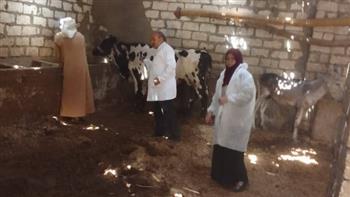 "الزراعة": تحصين 824 ألف رأس ماشية خلال أسبوع ضد الحمى القلاعية والوادي المتصدع
